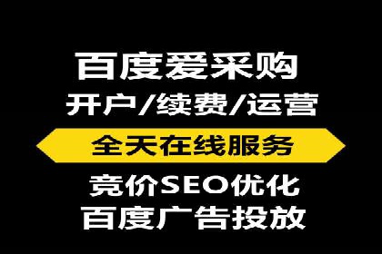 搜索引擎优化（SEO）与竞价广告（SEM）的对比案例